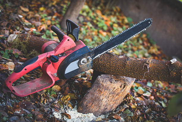 Mulching Services in Pecan Plantation, TX